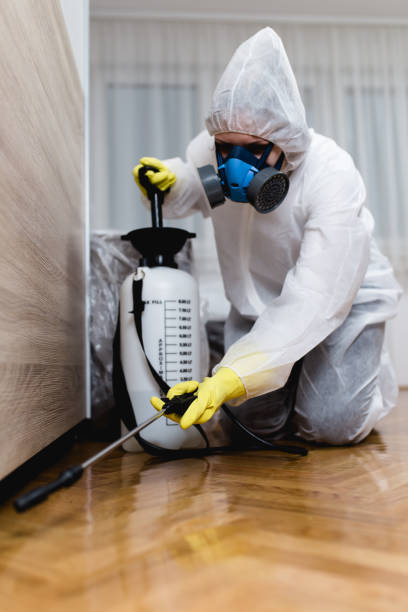 Emergency Pest Control Services in Strawberry Plains, TN